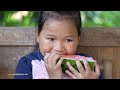 Harvesting giant watermelons For sale, 50 kg To share with children for the joy of eating every day