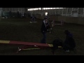 Pudge's very first Agility night!