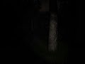 Slender The Eight Pages In 2024