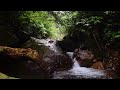 BEAUTY OF NATURE 4K VIDEO with AMBIENT BACKGROUND MUSIC FREE NO COPYRIGHT
