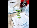 The Word Of God Is Powerful/Psalms 50/Audio Bible/Christian Meditation/Reading Bible Verses