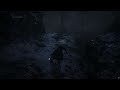 Abyss Watchers -|- No Artificial Light Sources