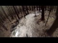 Gisburn Forest - Home Baked - March 2016 - Cube Stereo HPA 140