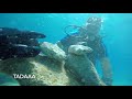 Scuba diving in Cyprus (Cyclop's Cave - Protaras, 2020)