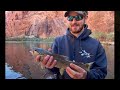 Fishing Beautiful Lees Ferry in Arizona for Trout! (Crazy views)