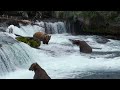 Katmai National Park - Alaska