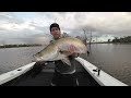 Lake Monduran Barramundi (120cm+ Barra)