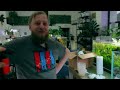 The Amazon Puffer Aquarium: 4ft Planted Tank Aquascape Tutorial