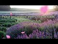 Daily Affirmations for Positivity and Self-Love: Start Your Day with Empowerment