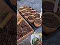 Seed Starting 101!