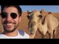 Bedouin Cook and Survive EXTREME HEAT (no rain in years) 🇴🇲 Food in Oman's HOT Desert!