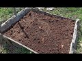 How to make organic garden with 0 money! Less work, less weeds, no watering and more growth!