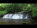 Forest Waterfall Nature Sounds - Relaxing Natural Water Flowing Sound - Calm Sleeping & Meditation