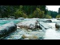 Relax River Sounds White Noise Nature, Peaceful Forest River For Meditation & Sleep