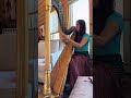 Background harp music to secret wedding