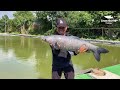 Chiến Thuật Câu Cá Trắm Đen Hồ Cá Cũ Cá Nhát | Chung Nguyễn Fishing