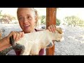 Freeze Tanning {INCREDIBLE Technique for Tanning Rabbit Hides}