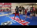 Teofimo Lopez Sparring Rolando Rolly Romero