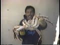 Big King Crab, Bering Sea, Alaska Trojan, 1993.