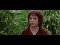 LOTR But every time Sam takes a step he keeps reminding himself of going farther from home (MEME)