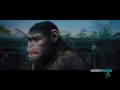 Planet Of The Apes: Original Vs New Franchise!
