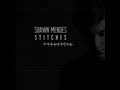 Shawn Mendes - Stitches (Slowed N Reverb)