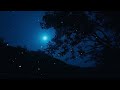 Relaxing sleep music - Stress Reliever Music - Brain relaxation songs and Share insomnia