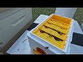 Starting Mini Mating NUC | KODIAK FARM BEES