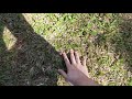 Weeb touches grass