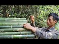2 Complete Days Shelter to survival alone, find Carry bamboo to cook,enjoy daily life in the forest