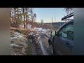 Endless Trees Topped or Killed in Freezing Rain Storm CA, 2024