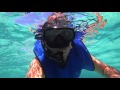 Snorkeling at the Florida Keys, Key Largo, Florida | Traveling Robert