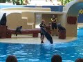 Loro Parque May 2007_ Sea-lions show