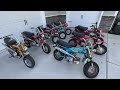 The Honda 70 collection all lined up!