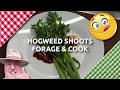 Common Hogweed Shoots | Forage and Cook | Delicious Wild Food 😋