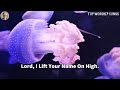 Living Hope ~ Hillsong Worship Christian Worship Songs 2024 ✝ Best Praise And Worship