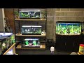 October 2020 Fish Room Tour