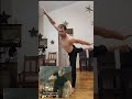 webster front flip free critique