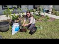 Solar pathway & gardening ~Sunshine Journey~