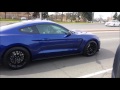 NOTHING Sounds Better Mustang Shelby GT350