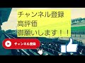 【札幌日経オープン2024】競馬予想(2024年競馬予想284戦175的中)