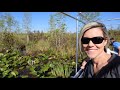 Okefenokee Swamp Boat Tour