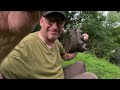 barbel on the river Swale