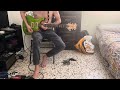 Guns N’ Roses - Out Ta Get Me (Solo + Outro Guitar practice)