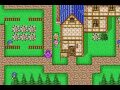 FFV Bug - Faris in Tule