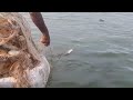 Fishing Video !! Big Ctala Fishing In Mirigala Fishing Rohu Fish Hunting  SriLanka lake fishing