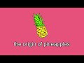 The Finale of Pineapples