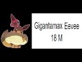 All Eeveelutions Size Comparasion