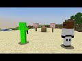 Minecraft Warriors The Movie