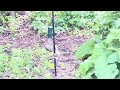 Adorable Squirrel Hanging from Feeder!